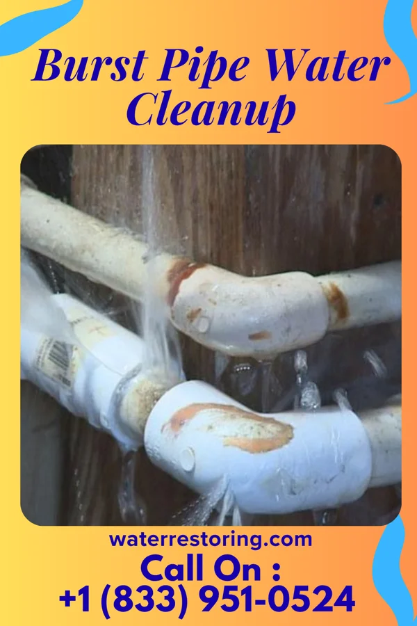 Burst Pipe Water Cleanup in Broadlands, VA