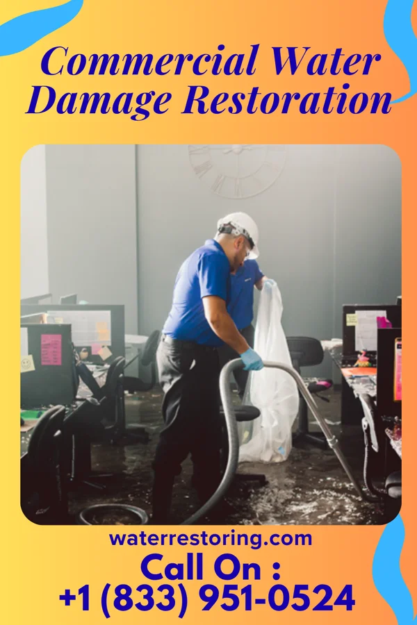Commercial Water Damage Restoration in Broadlands, VA