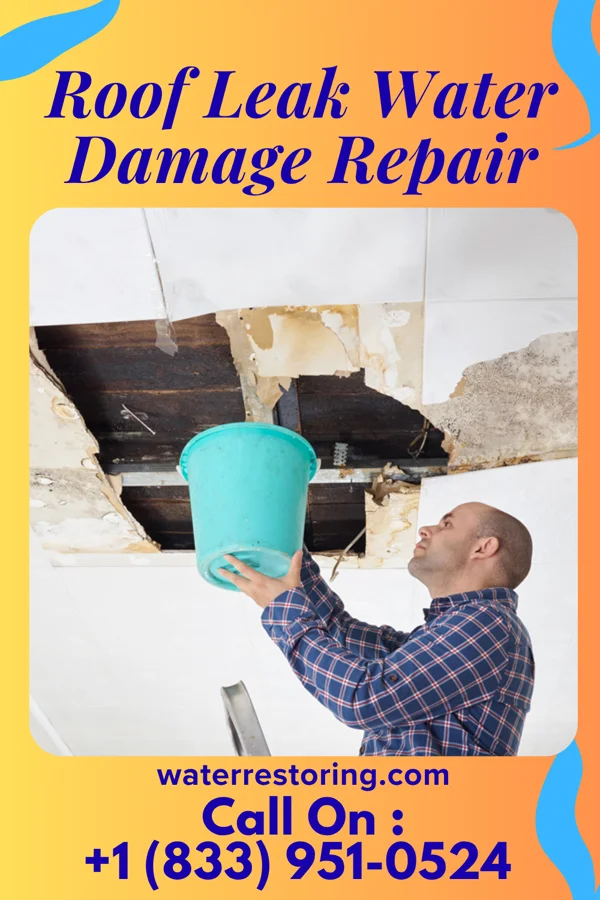 Roof Leak Water Damage Repair in Broadlands, VA