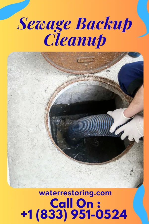 Sewage Backup Cleanup in Broadlands, VA