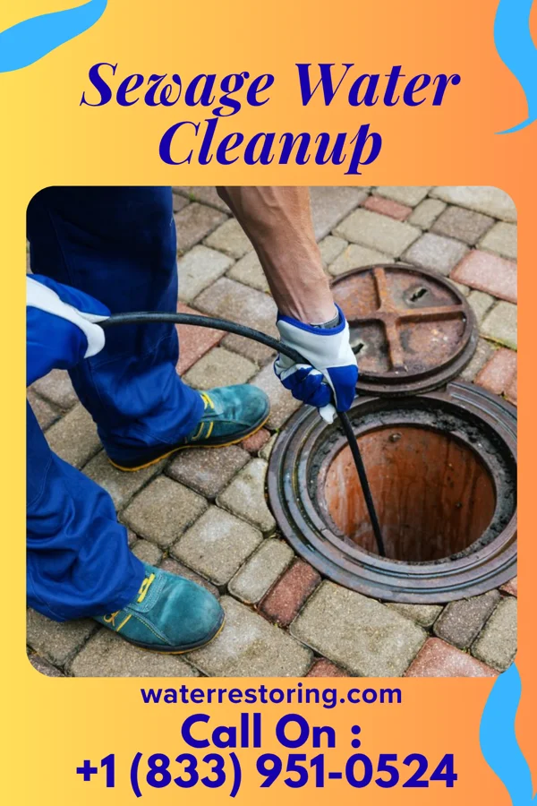 Sewage Water Cleanup in Broadlands, VA
