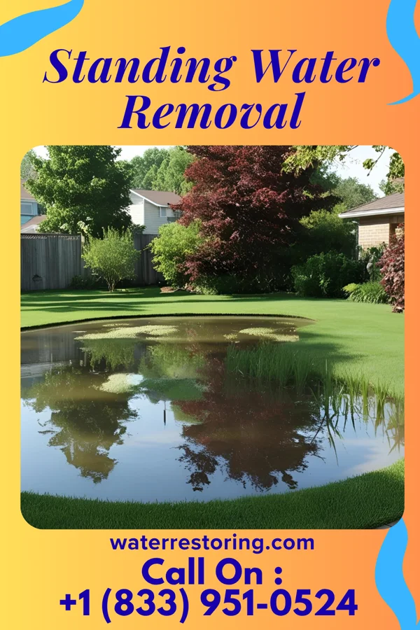 Standing Water Removal in Broadlands, VA